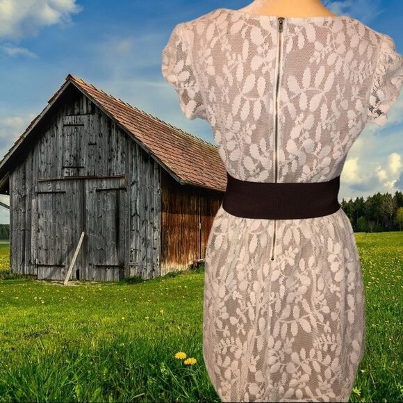 Sequin hearts brand cream lace over tan dress - Picture 6 of 8